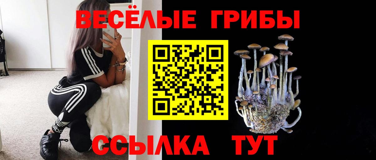 Псилоцибиновые грибы Magic Shrooms  Вход с VPN  Кириши 